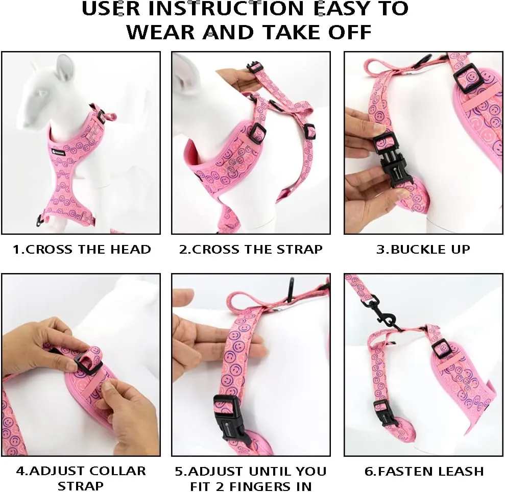 Adjustable Dog Harness and Leash Set for Girl Air Mesh Dog Vest Harness 5Ft Dog Training Leash with Soft Handle Pet Escape Proof for Small Medium Large Dogs (Dinosaur, M)