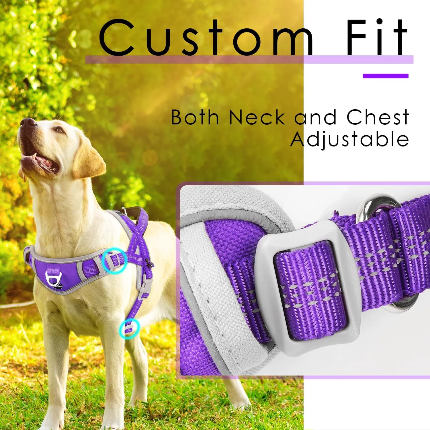 ADVENTUREMORE Medium Dog Harness - No Pull, Reflective, Escape Proof with QR Code Dog Tag, Adjustable Front Clip Handle for Training & Walking - M Purple