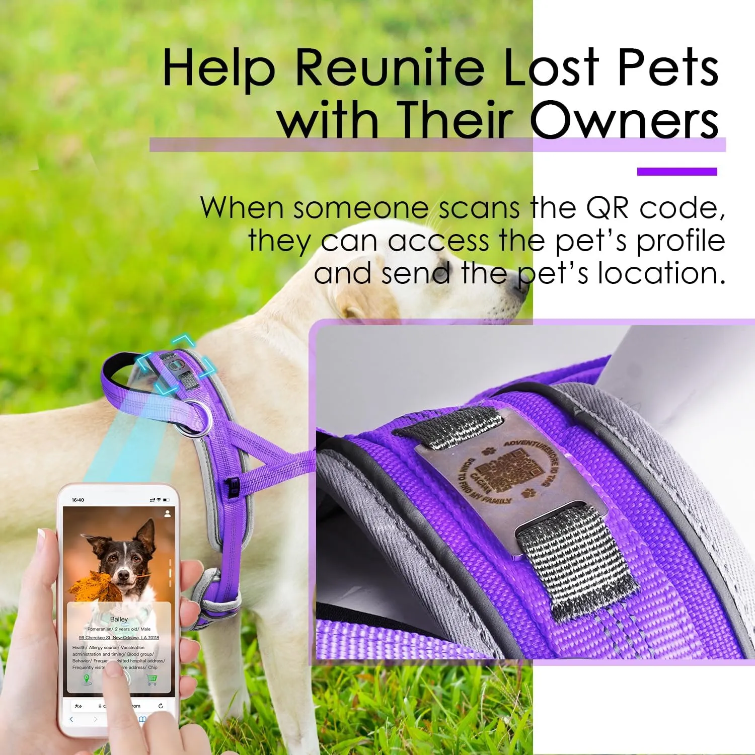 ADVENTUREMORE Medium Dog Harness - No Pull, Reflective, Escape Proof with QR Code Dog Tag, Adjustable Front Clip Handle for Training & Walking - M Purple