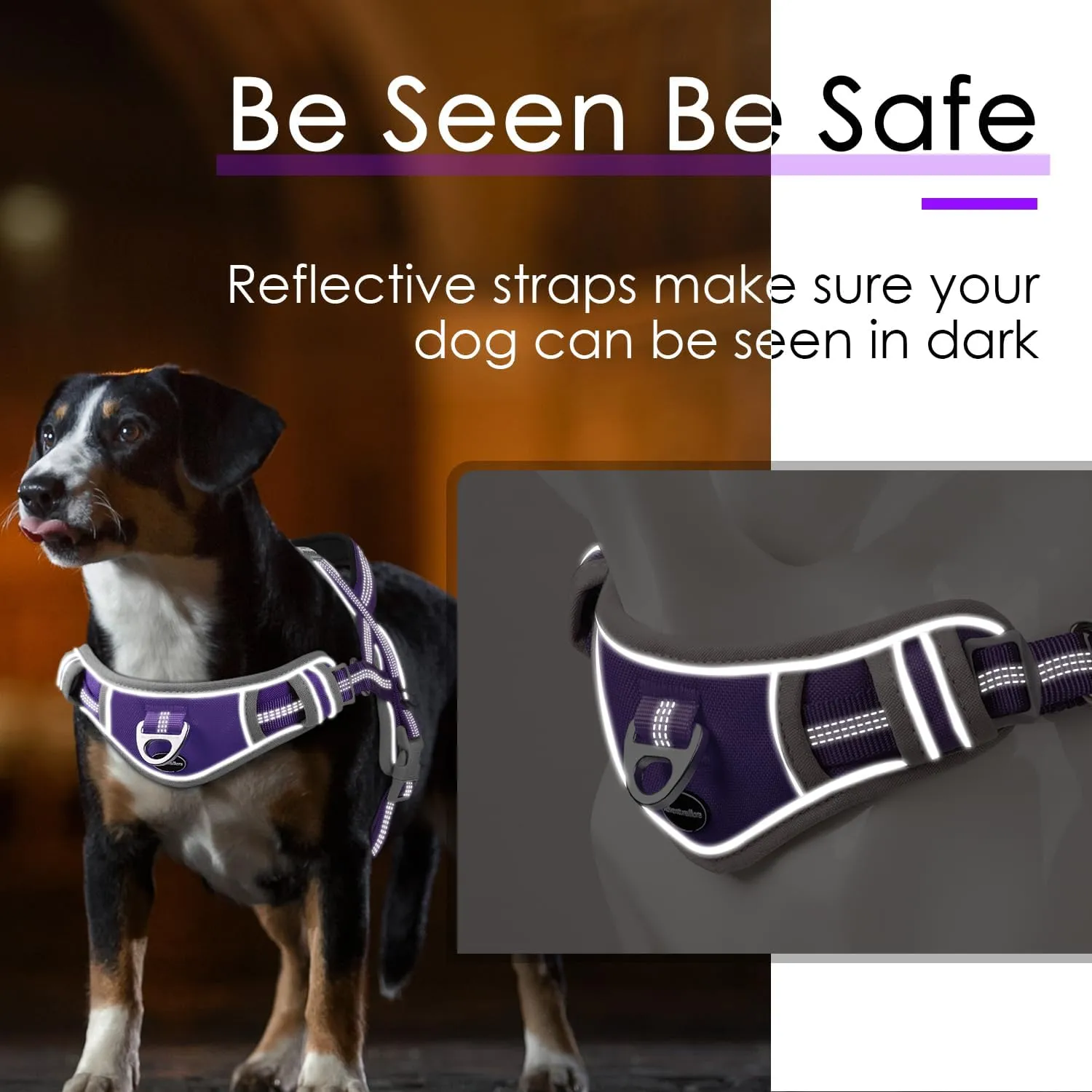 ADVENTUREMORE Medium Dog Harness - No Pull, Reflective, Escape Proof with QR Code Dog Tag, Adjustable Front Clip Handle for Training & Walking - M Purple