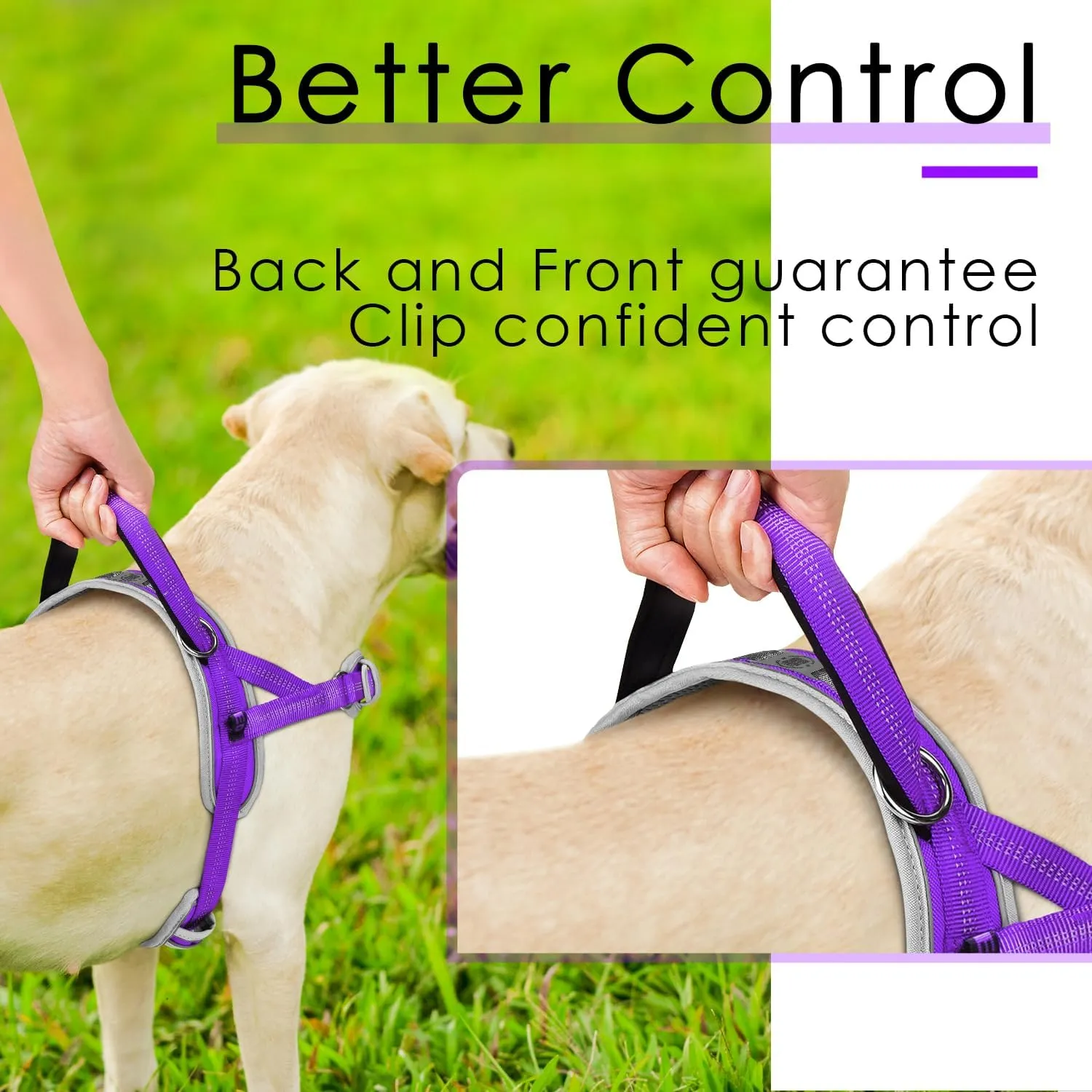 ADVENTUREMORE Medium Dog Harness - No Pull, Reflective, Escape Proof with QR Code Dog Tag, Adjustable Front Clip Handle for Training & Walking - M Purple