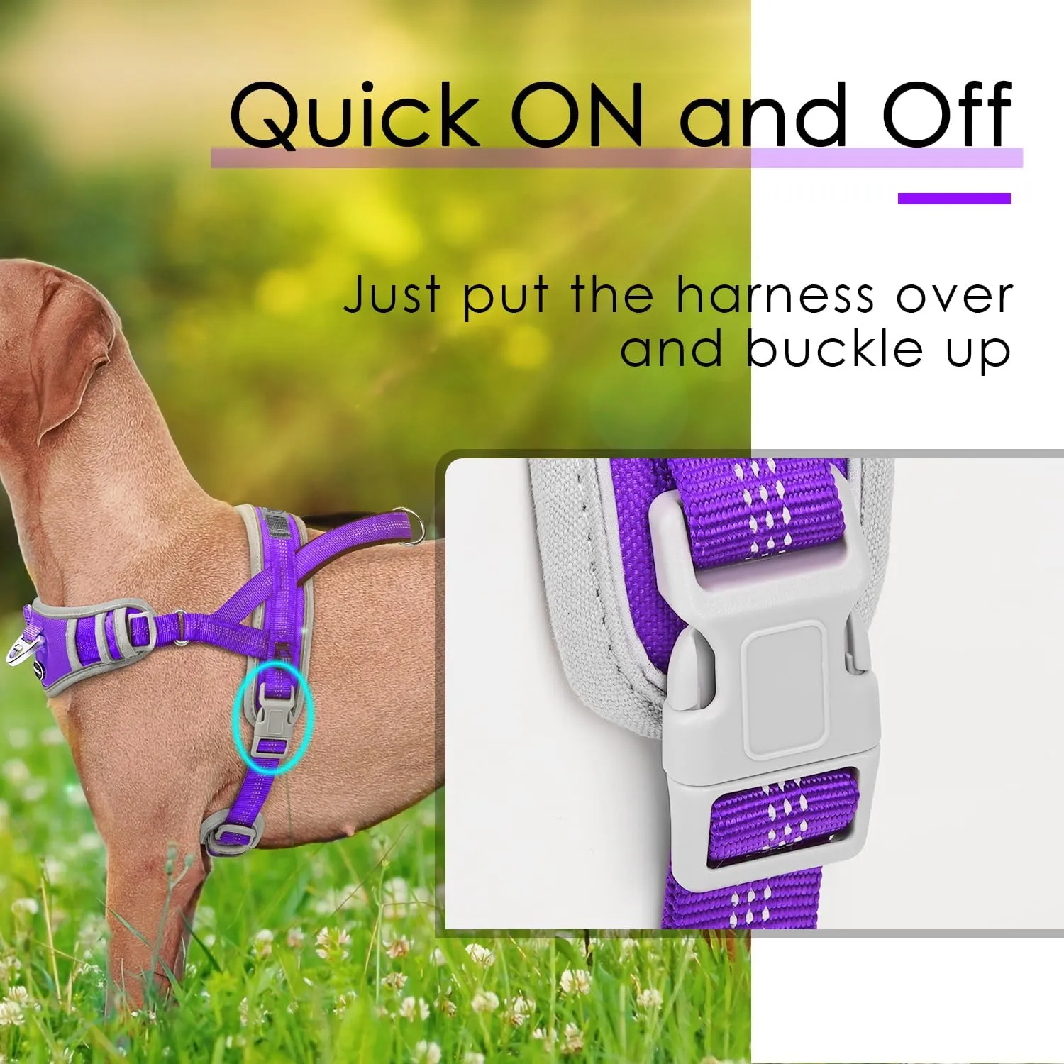 ADVENTUREMORE Medium Dog Harness - No Pull, Reflective, Escape Proof with QR Code Dog Tag, Adjustable Front Clip Handle for Training & Walking - M Purple
