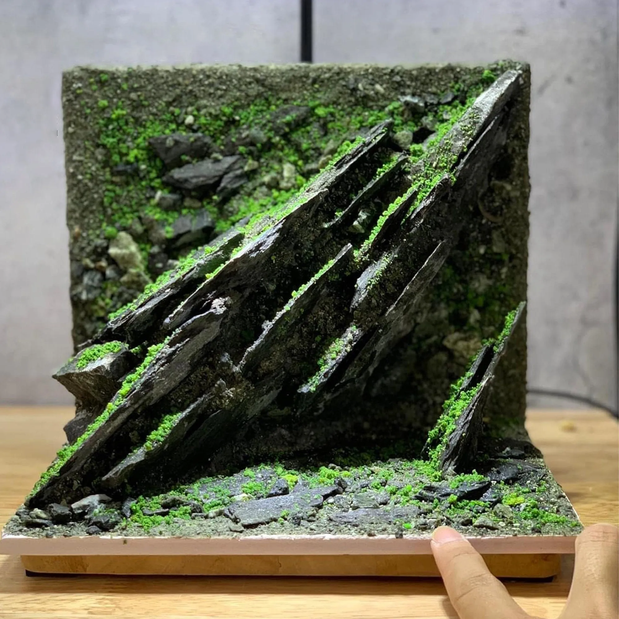 Aquarium Decorations & Unique Aquascape Background for Fish & Shrimp Tanks