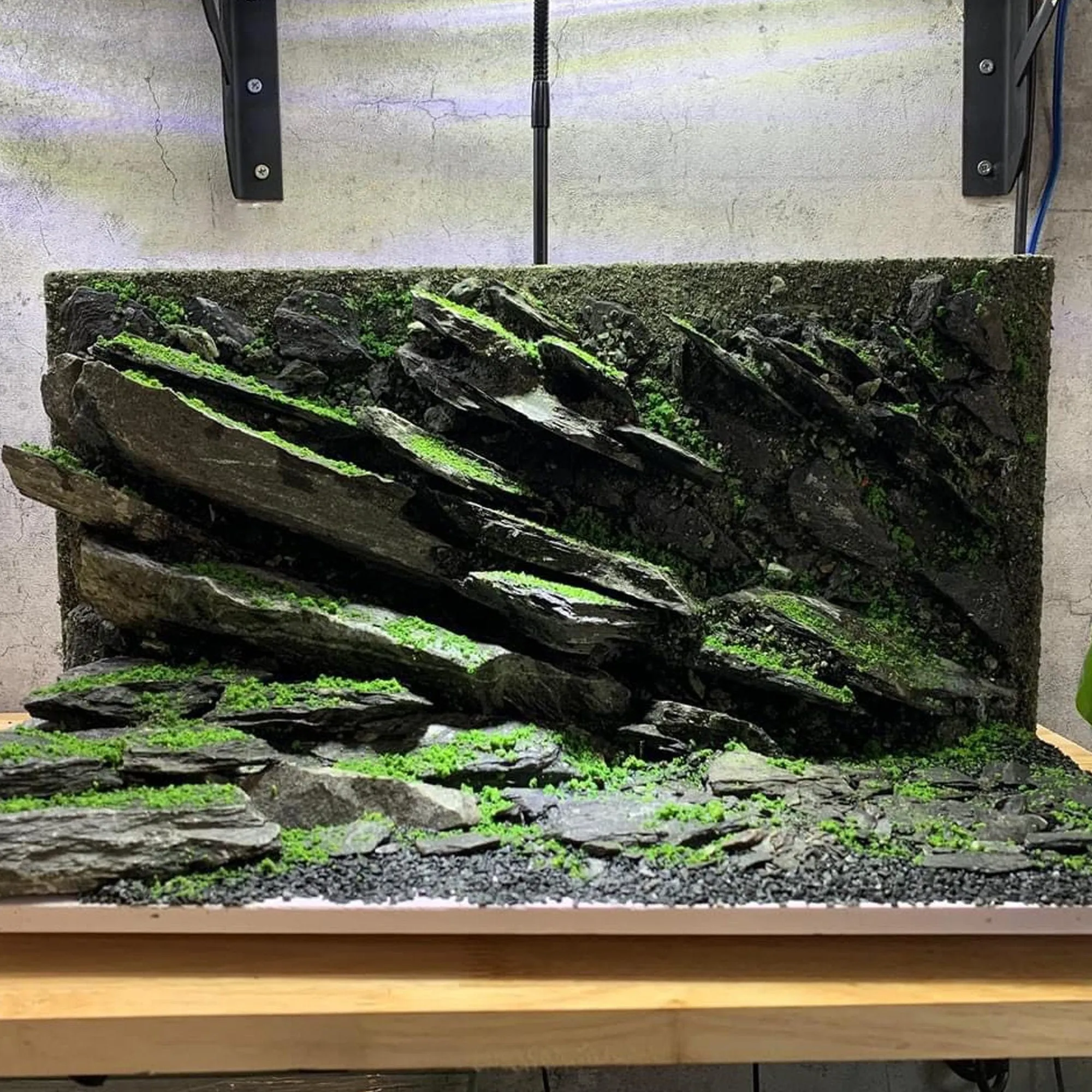 Aquarium Decorations & Unique Aquascape Background for Fish & Shrimp Tanks