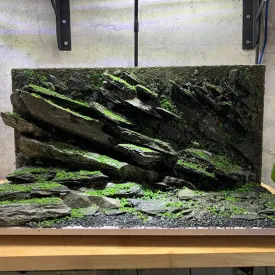 Aquarium Decorations & Unique Aquascape Background for Fish & Shrimp Tanks