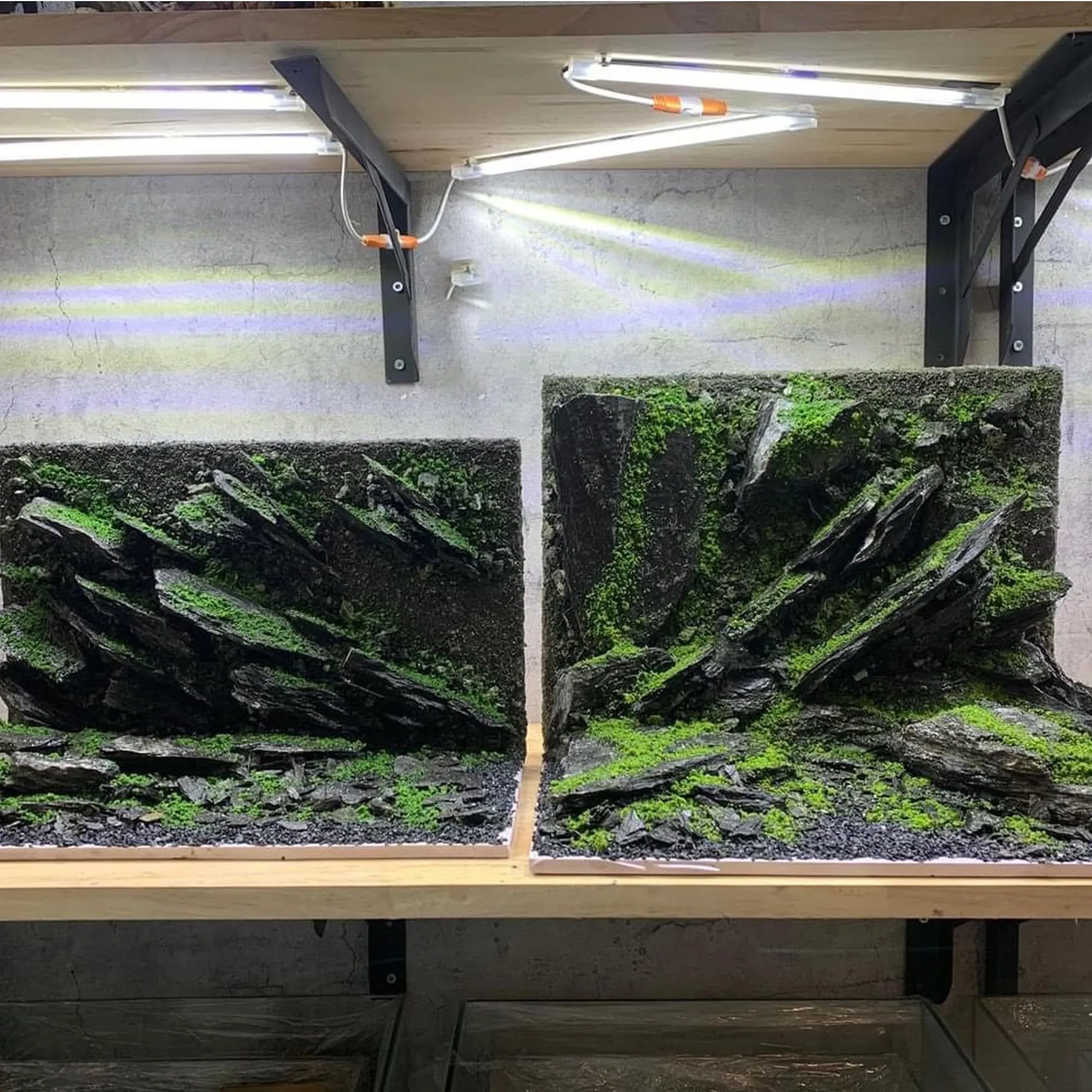 Aquarium Decorations & Unique Aquascape Background for Fish & Shrimp Tanks