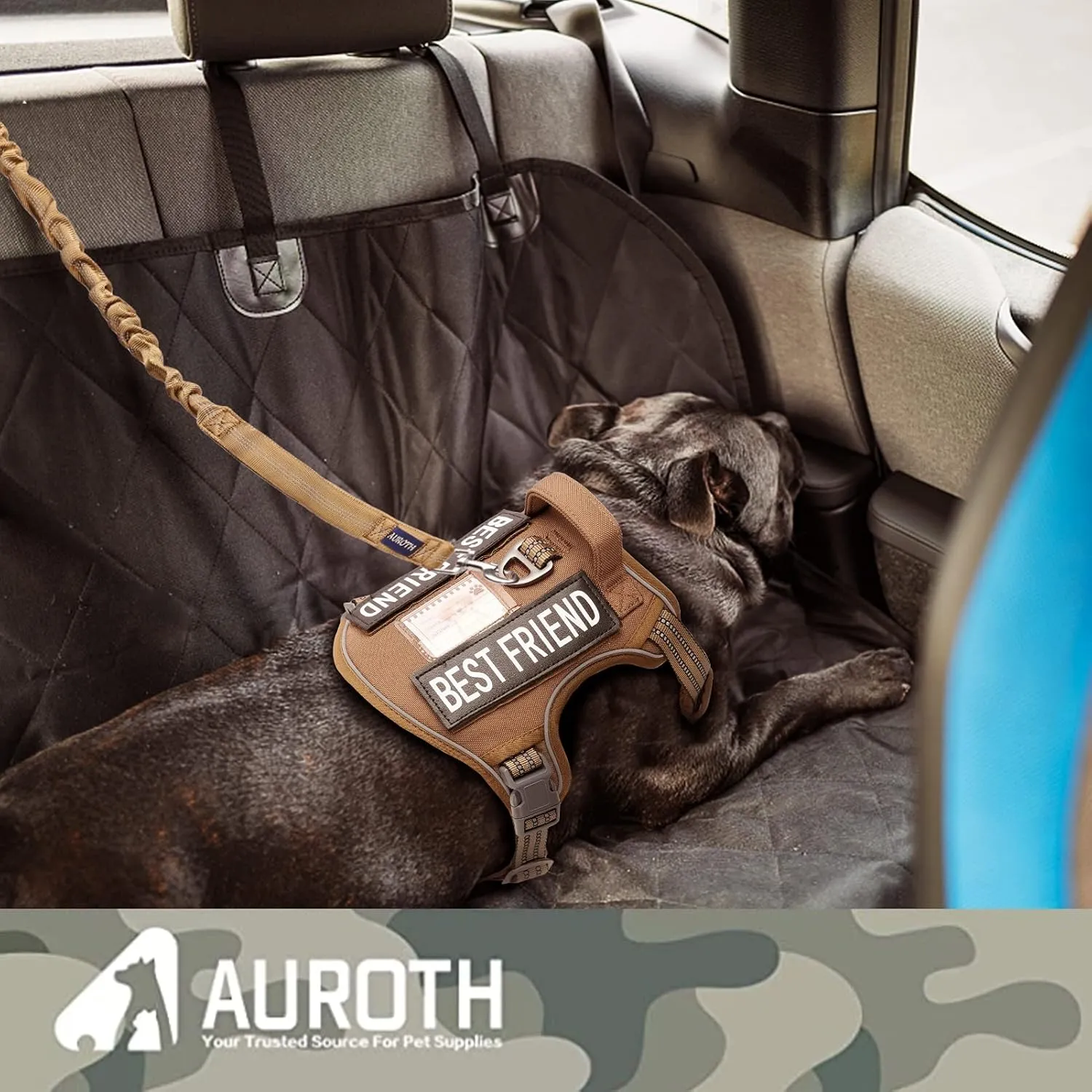 AUROTH Dog Leash Large Dogs, Heavy Duty Dog Leash Bungee, No Pull Dog Leash for Shock Absorption, Army Yellow Dog Training Leashes for Medium Large Breed Dogs 6FT, 2 Padded Handles