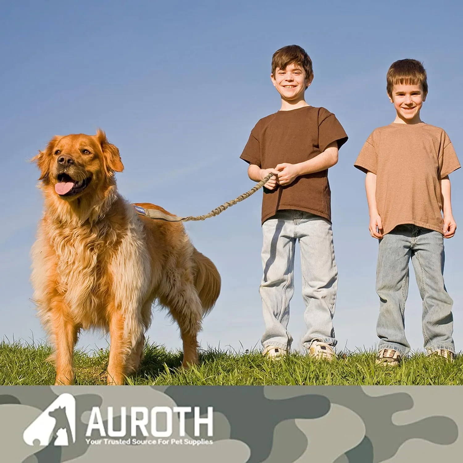 AUROTH Dog Leash Large Dogs, Heavy Duty Dog Leash Bungee, No Pull Dog Leash for Shock Absorption, Army Yellow Dog Training Leashes for Medium Large Breed Dogs 6FT, 2 Padded Handles