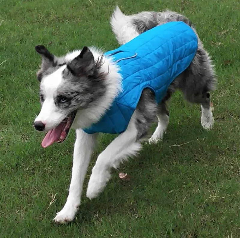 Autumn and winter pet waterproof clothes two-color plaid dog padded winter jacket