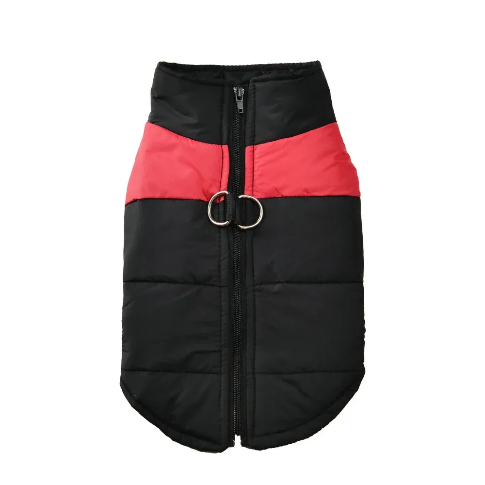 Autumn-Winter Waterproof Dog Jacket with D-Ring