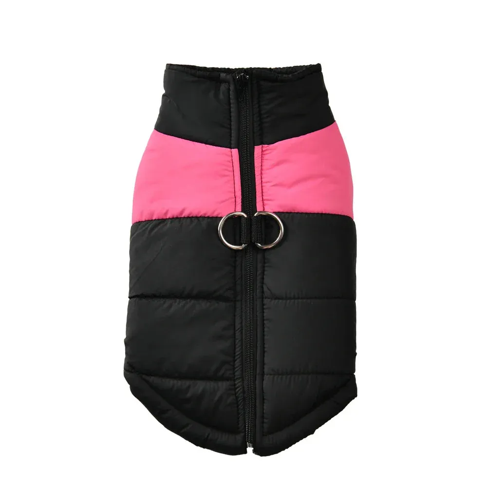 Autumn-Winter Waterproof Dog Jacket with D-Ring