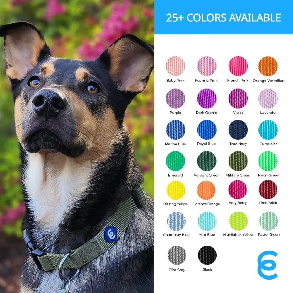 Blueberry Pet Essentials Adjustable Pink Dog Collar for Large Dogs, Solid Nylon, Comfortable & Durable, Secure Fit and Eco-Friendly for Pet Owners