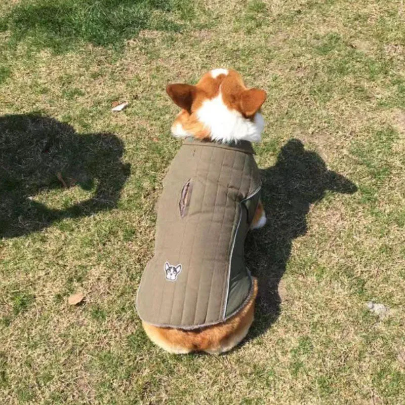 Detachable cap autumn and winter pet clothes