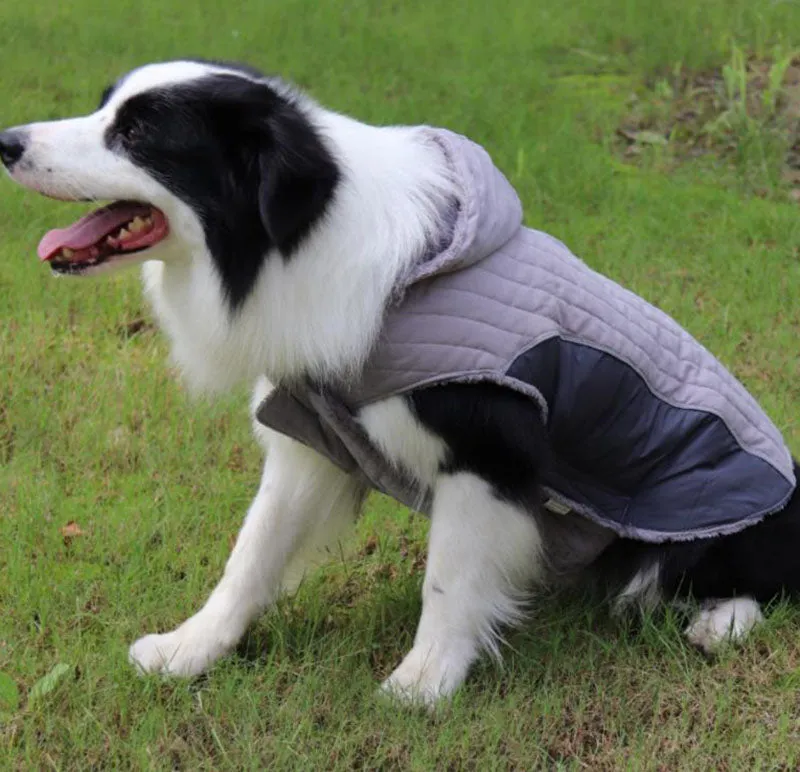 Detachable cap autumn and winter pet clothes