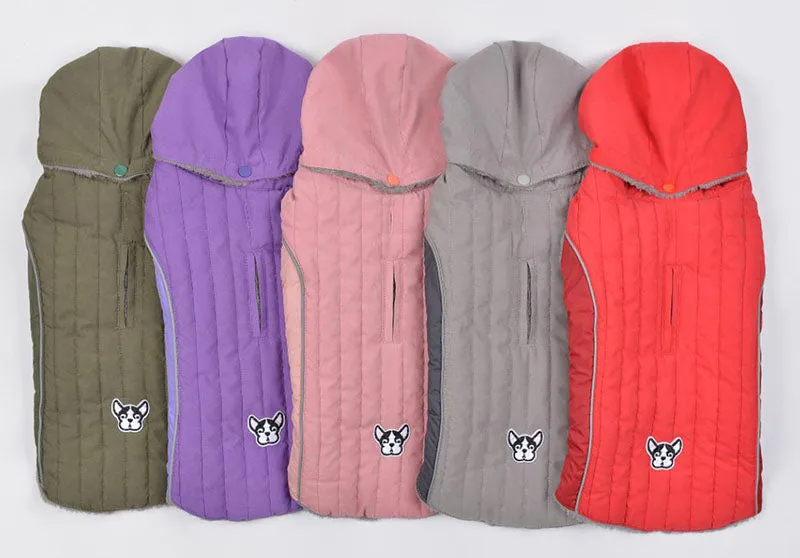 Detachable cap autumn and winter pet clothes
