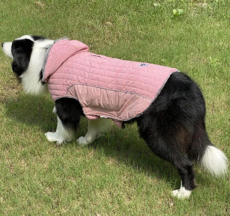 Detachable cap autumn and winter pet clothes