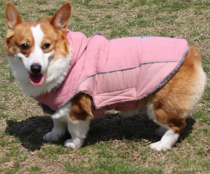 Detachable cap autumn and winter pet clothes