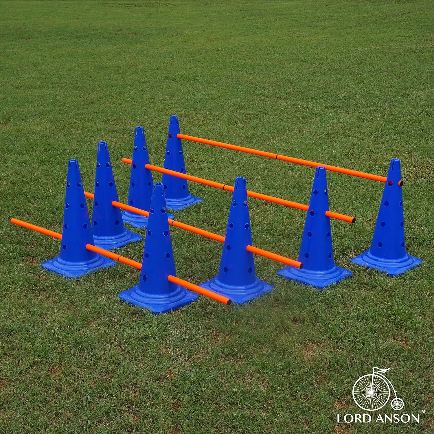 Dog Agility Hurdle Cone Set - Canine Training Set - Obedience, Rehabilitation - 16 Cones and 8 Rods
