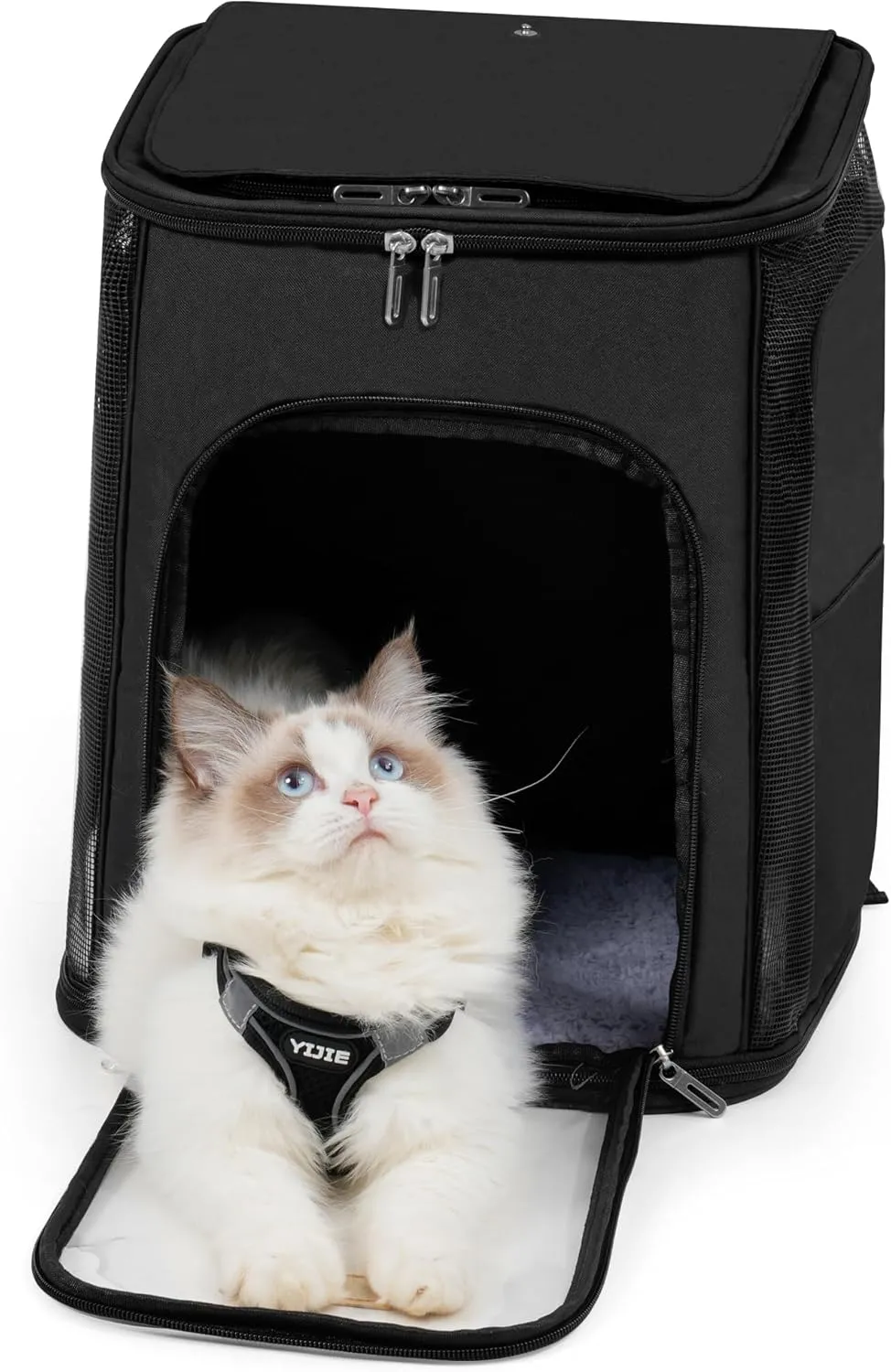 Dog Carrier, Bag Carrier, Cat Travel Soft-Sided Cat Bag Pet Carriers (Black)