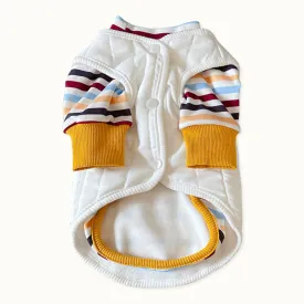 Earthy Stripes Sweater & Button Through Vest Dog Clothes