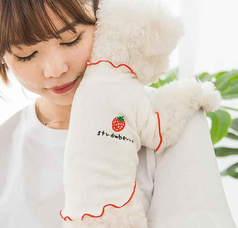 Four seasons solid color breathable strawberry sweater bottoming shirt pet clothes