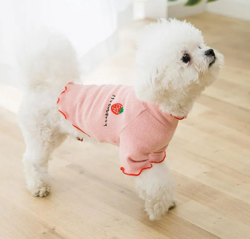 Four seasons solid color breathable strawberry sweater bottoming shirt pet clothes