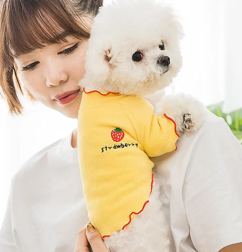 Four seasons solid color breathable strawberry sweater bottoming shirt pet clothes