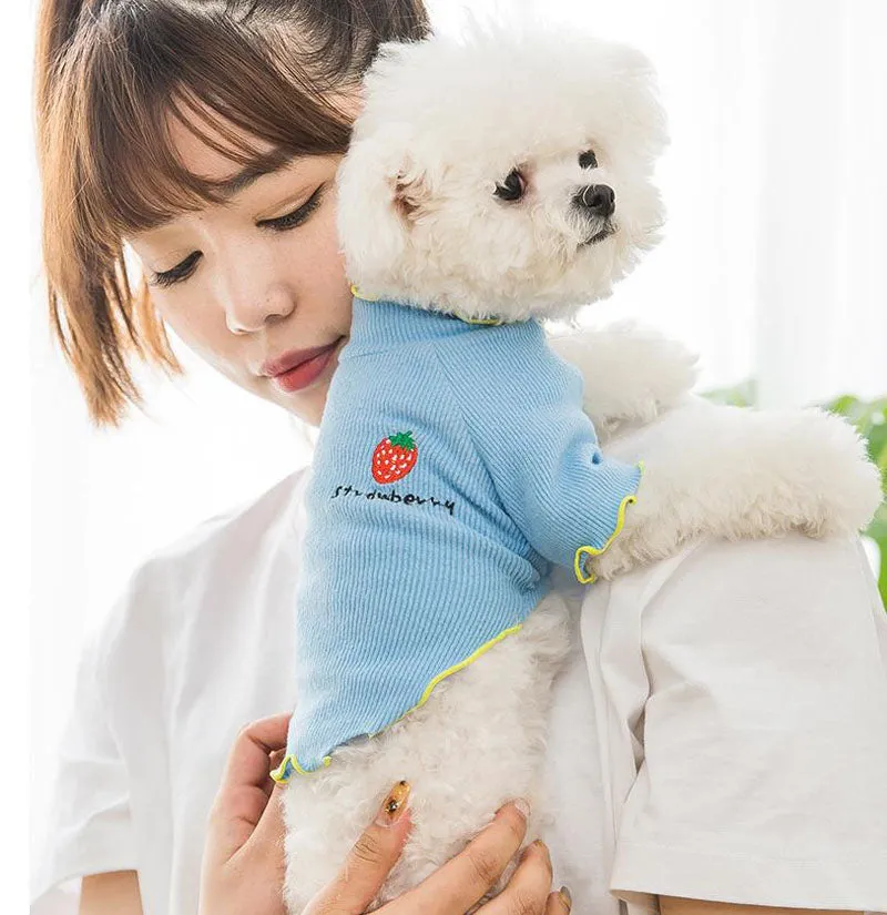 Four seasons solid color breathable strawberry sweater bottoming shirt pet clothes