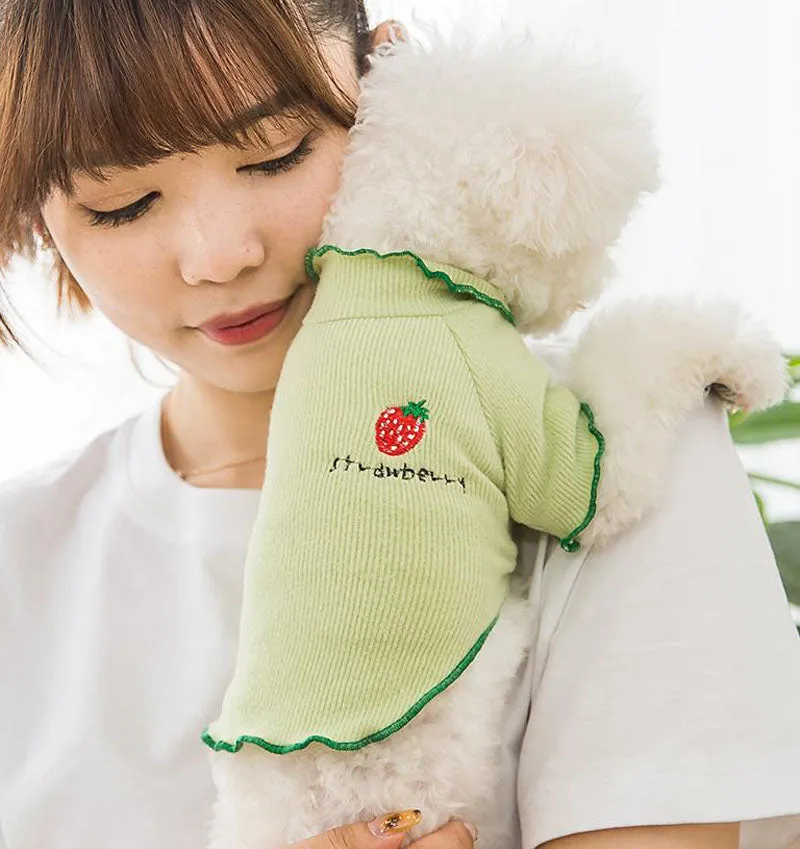 Four seasons solid color breathable strawberry sweater bottoming shirt pet clothes