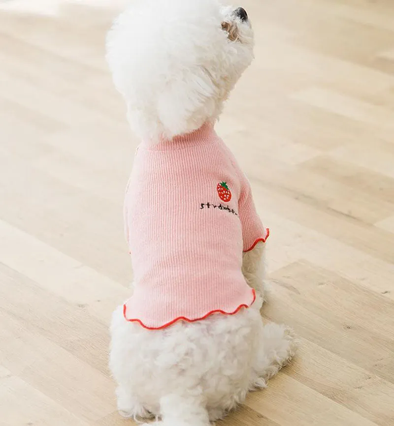 Four seasons solid color breathable strawberry sweater bottoming shirt pet clothes