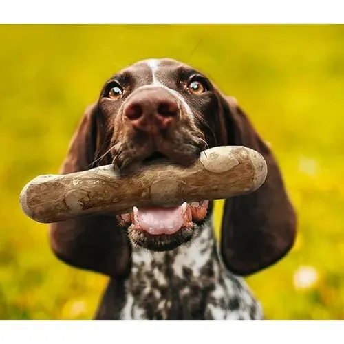 Goodwood Coffee Tree Wood Chew Small 100g