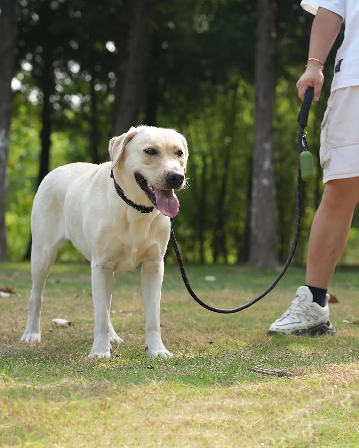 Joytale Reflective Dog Leash, Heavy Duty Nylon Rope with Poop Bag Holder, Highly Reflective Threads Leashes for Medium Large Dogs, Black, 6'1/2''