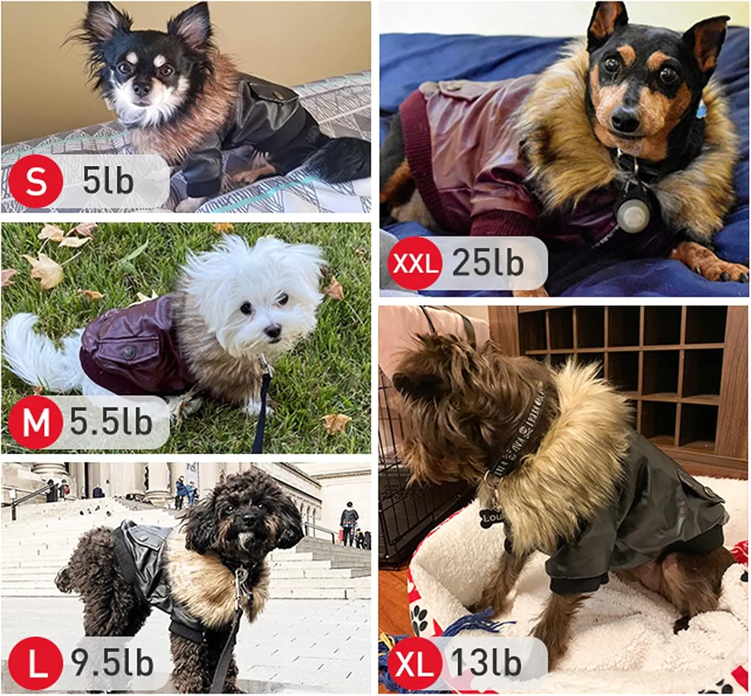 LESYPET Dog Leather Jacket for Small Dogs, Small Dog Jacket Puppy Coat Double Layer with Warm Fleece Lined, Black