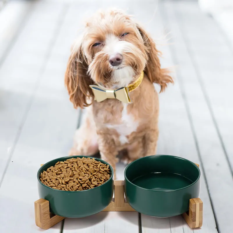 Non-Slip Ceramic Pet Bowl Set