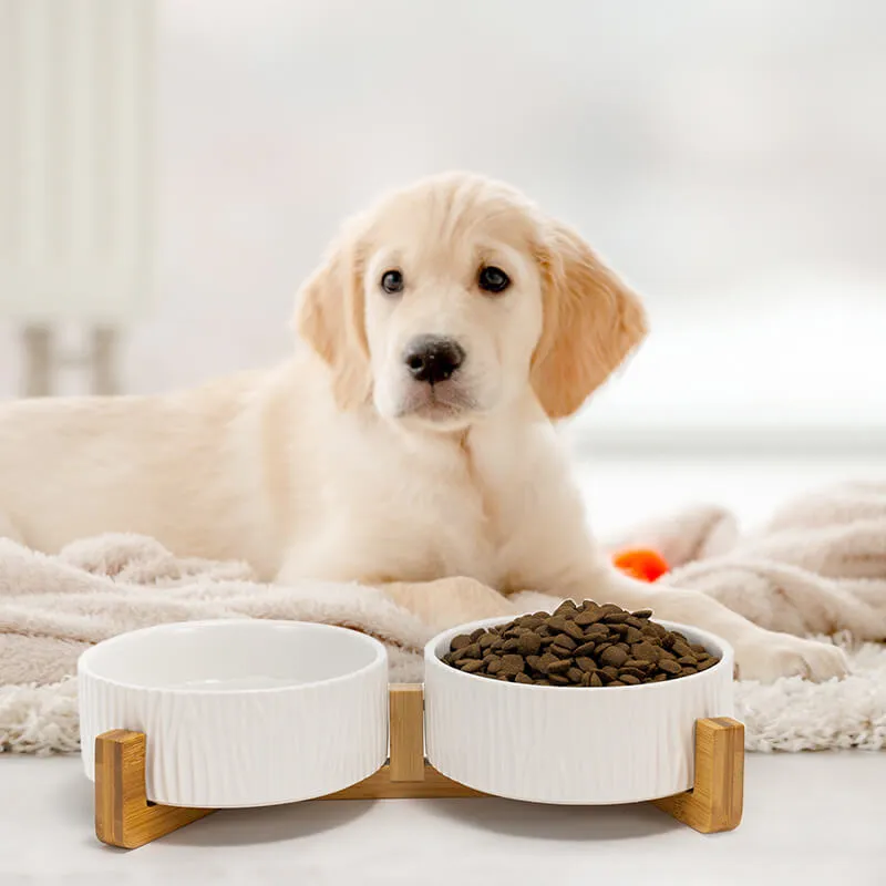 Non-Slip Ceramic Pet Bowl Set