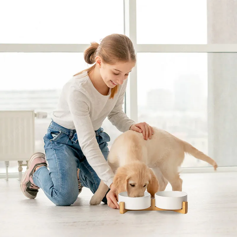 Non-Slip Ceramic Pet Bowl Set