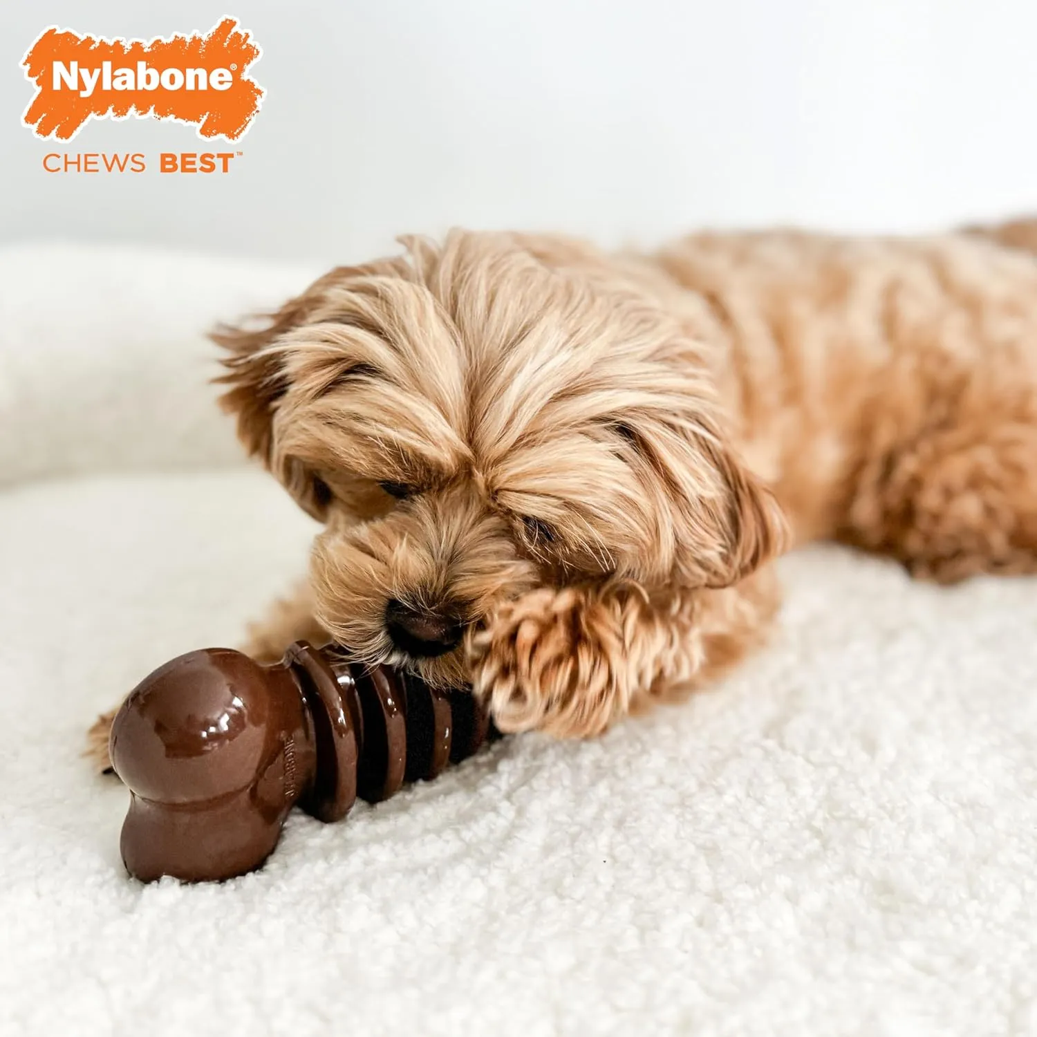 Nylabone Flexi Chill & Chew Toy for Dogs with Treat Pockets, Dog Toys for Moderate Chewers, Medley Flavor, Medium - Up to 35 lbs, 1 Count