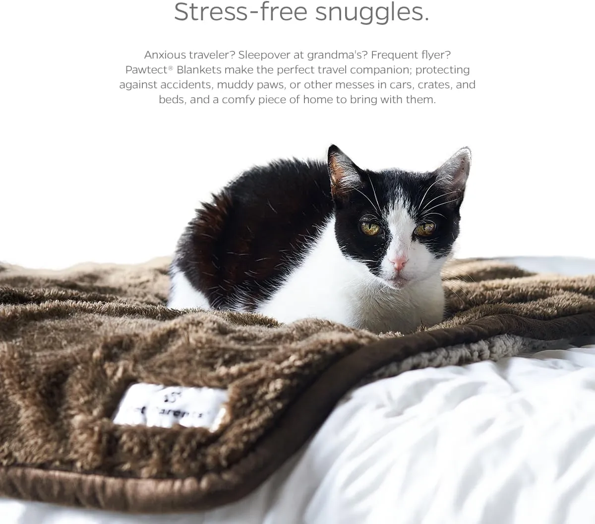 Pet Parents Pawtect Premium Waterproof Cat & Dog Blanket with WickQuick & Sherpup Technology, Puppy & Cat Blanket, Slate 24x32