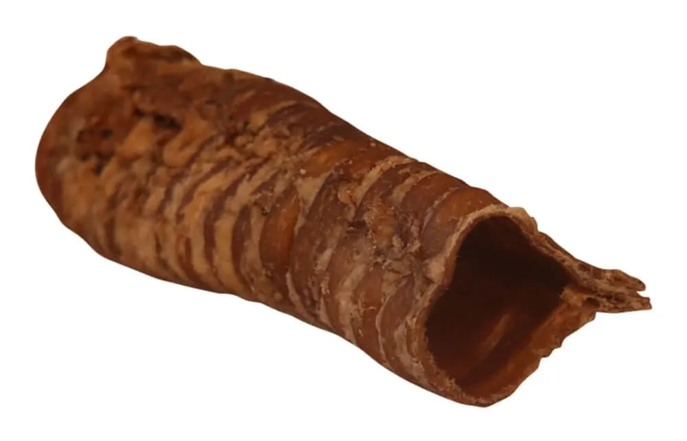 Pet's Choice Beef Trachea Dog Chews, 6"