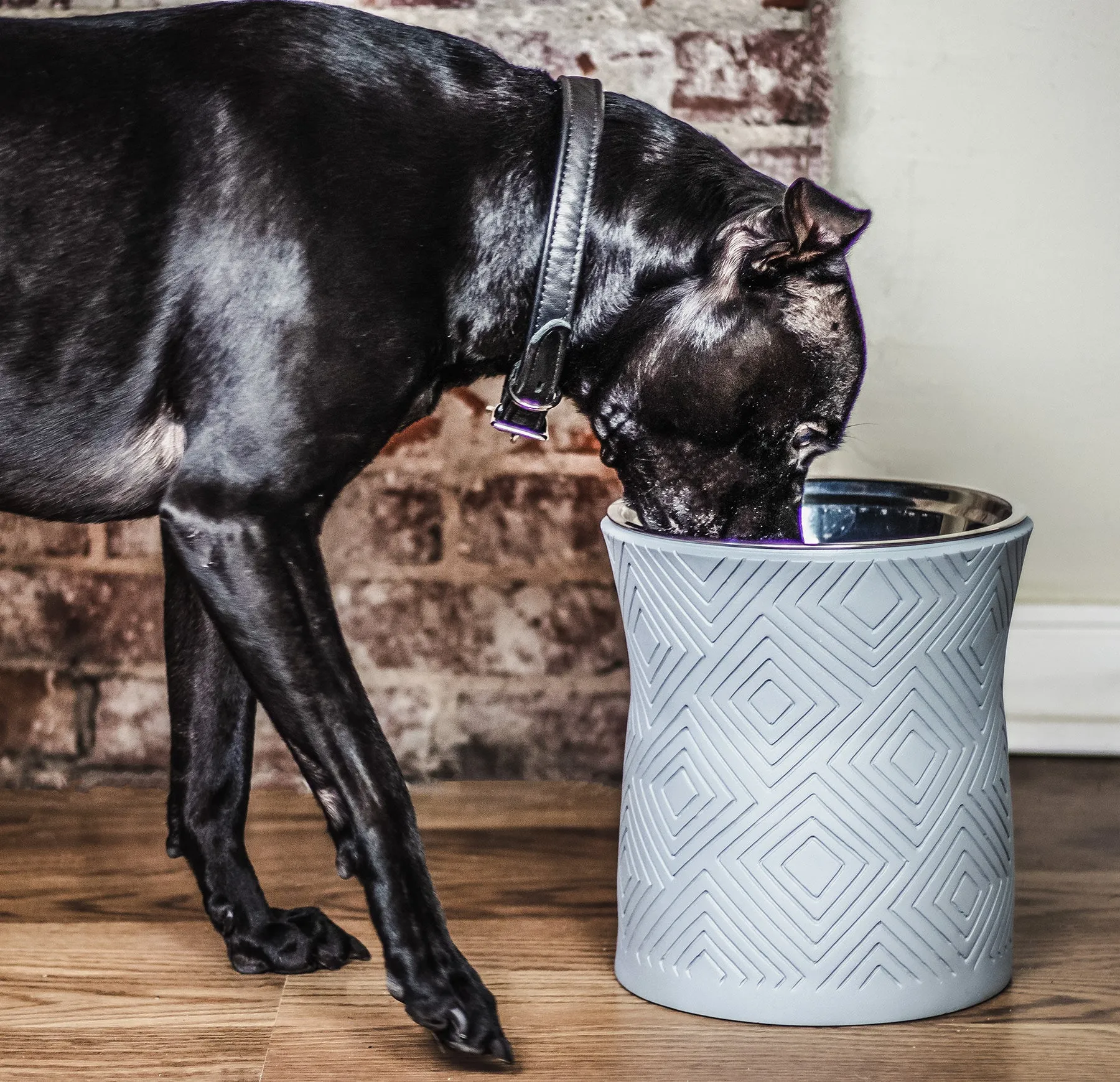 Santa Fe Modern Elevated Dog Bowl
