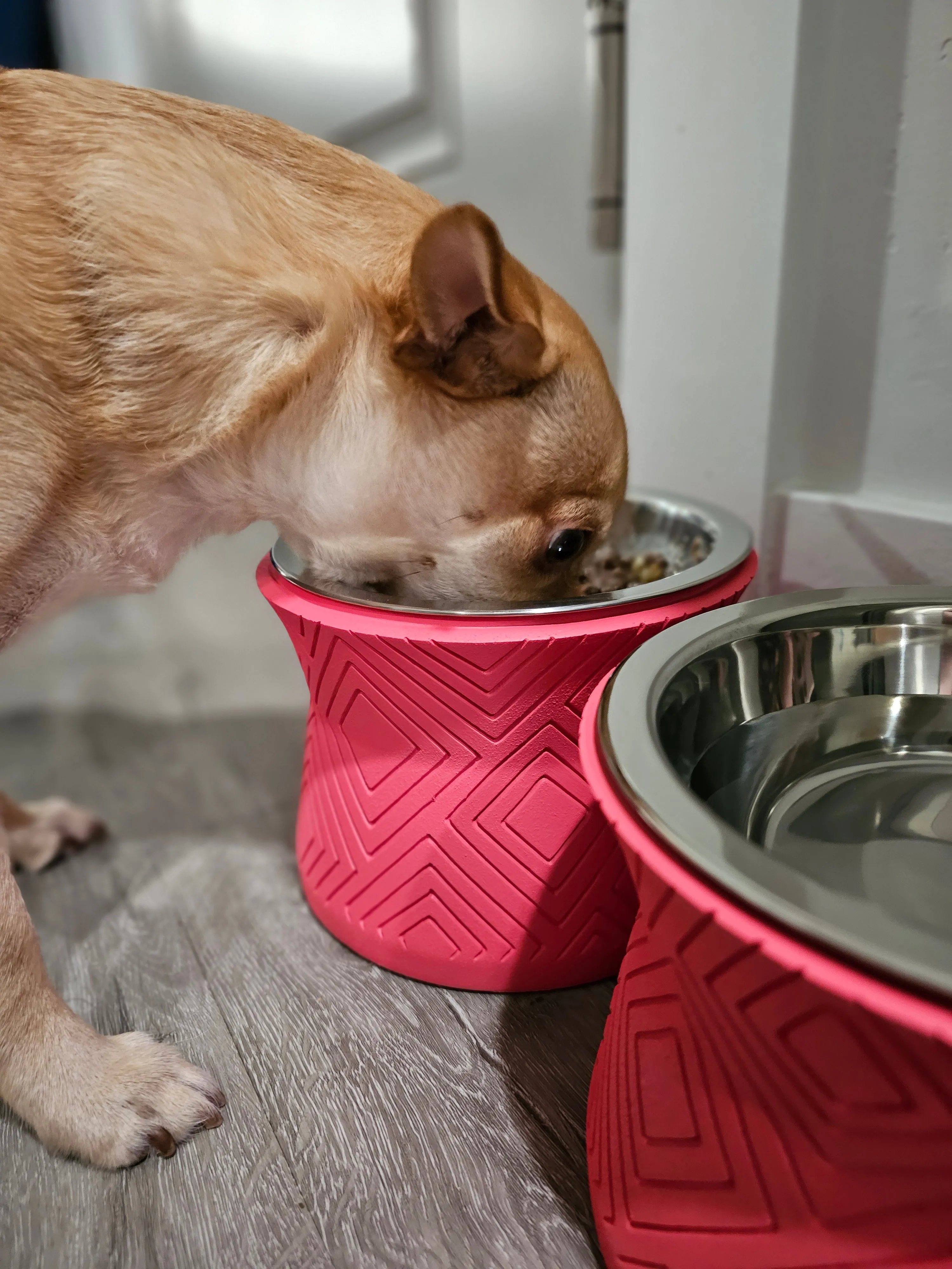 Santa Fe Modern Elevated Dog Bowl