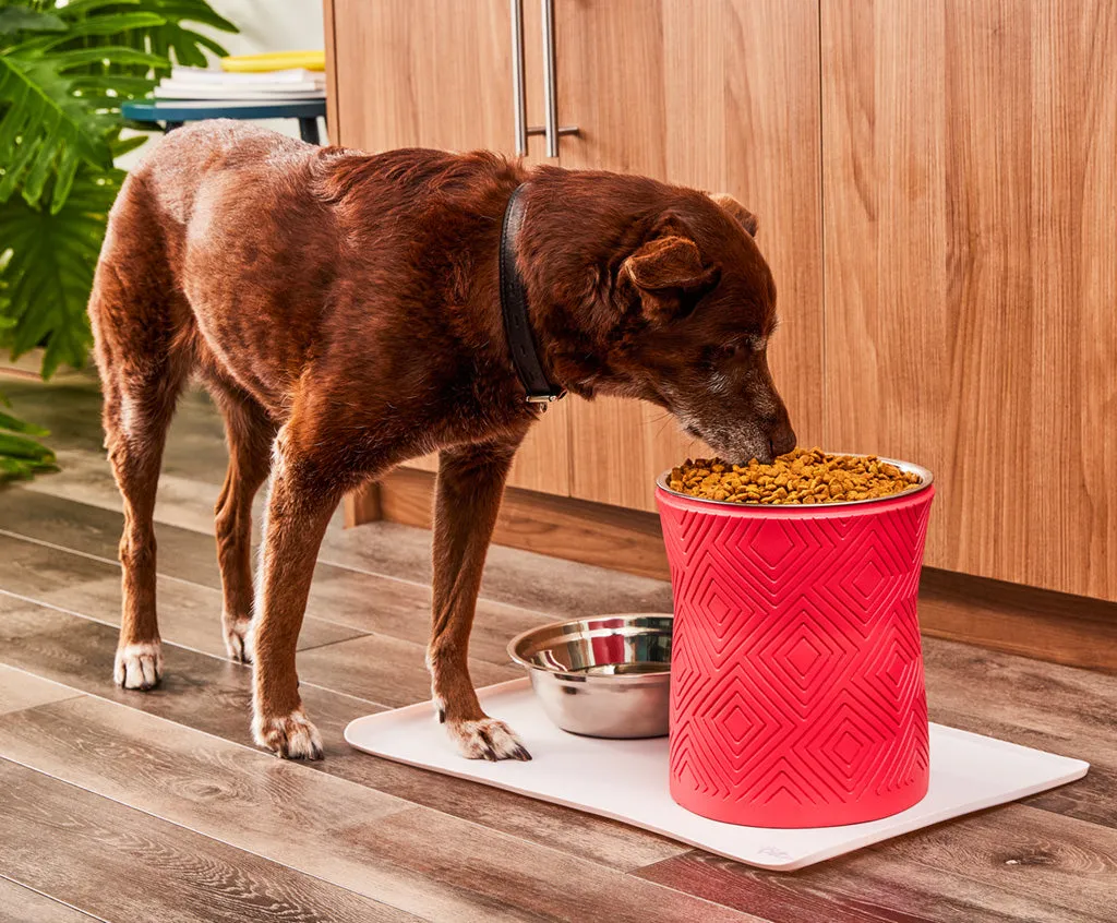 Santa Fe Modern Elevated Dog Bowl