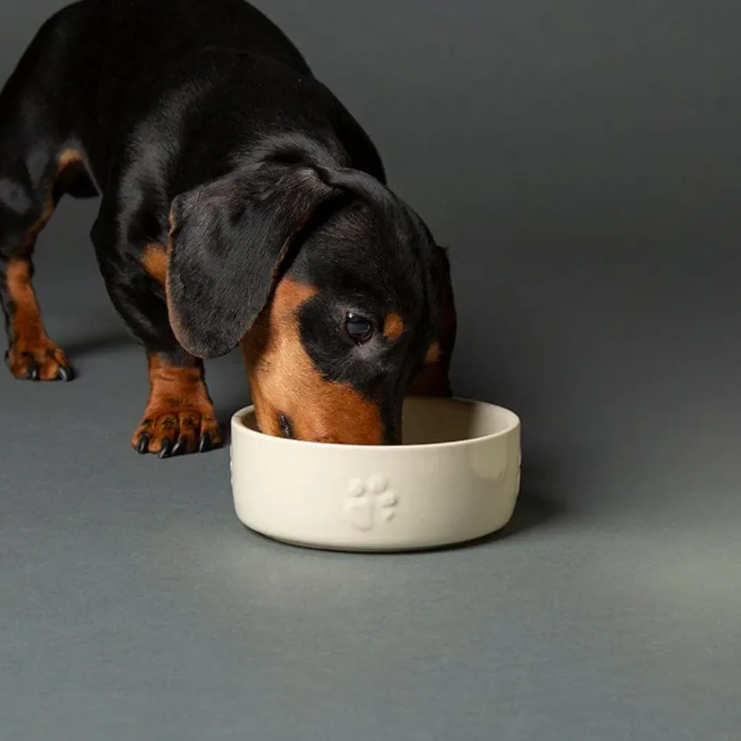Scruffs Icon Ceramic Pet Food Bowl