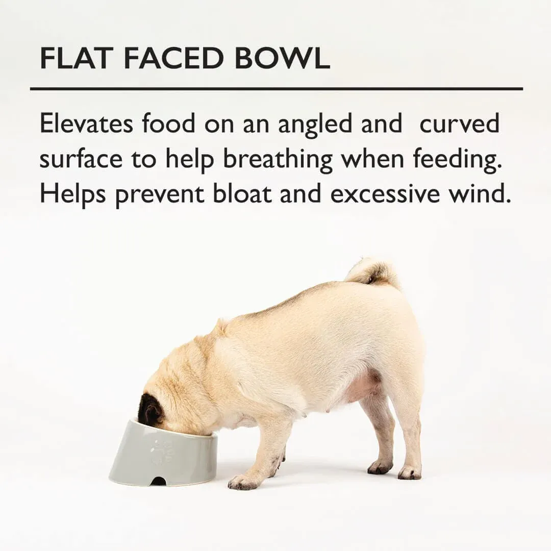 Scruffs Icon Flat Faced Pet Bowl for Brachycephalic Dogs & Cats