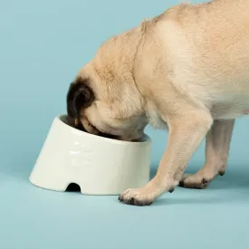 Scruffs Icon Flat Faced Pet Bowl for Brachycephalic Dogs & Cats