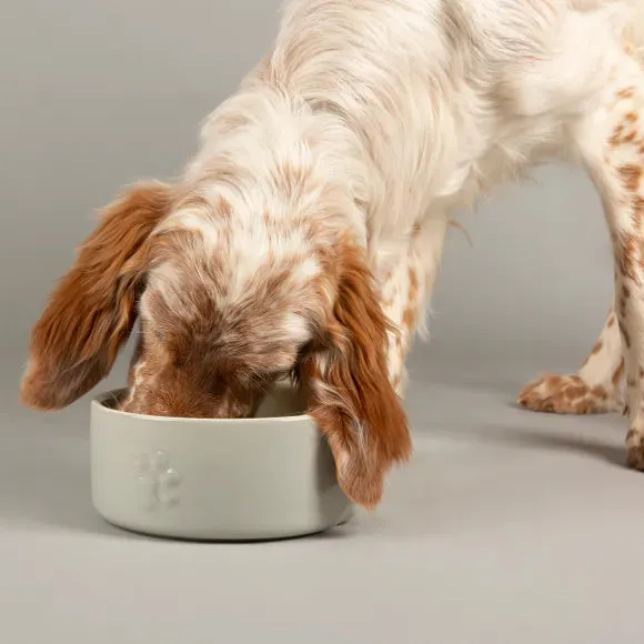 Scruffs Paw Print Icon Dog Food Bowl