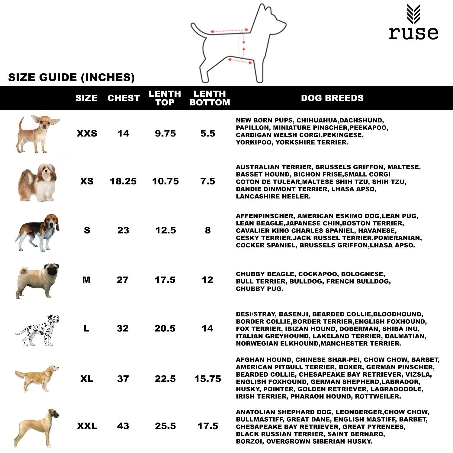 Solid Dog Technical Jacket
