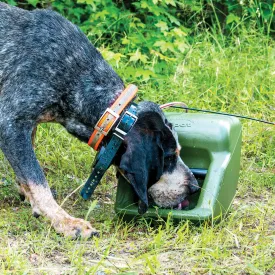 Spot Dog Waterer