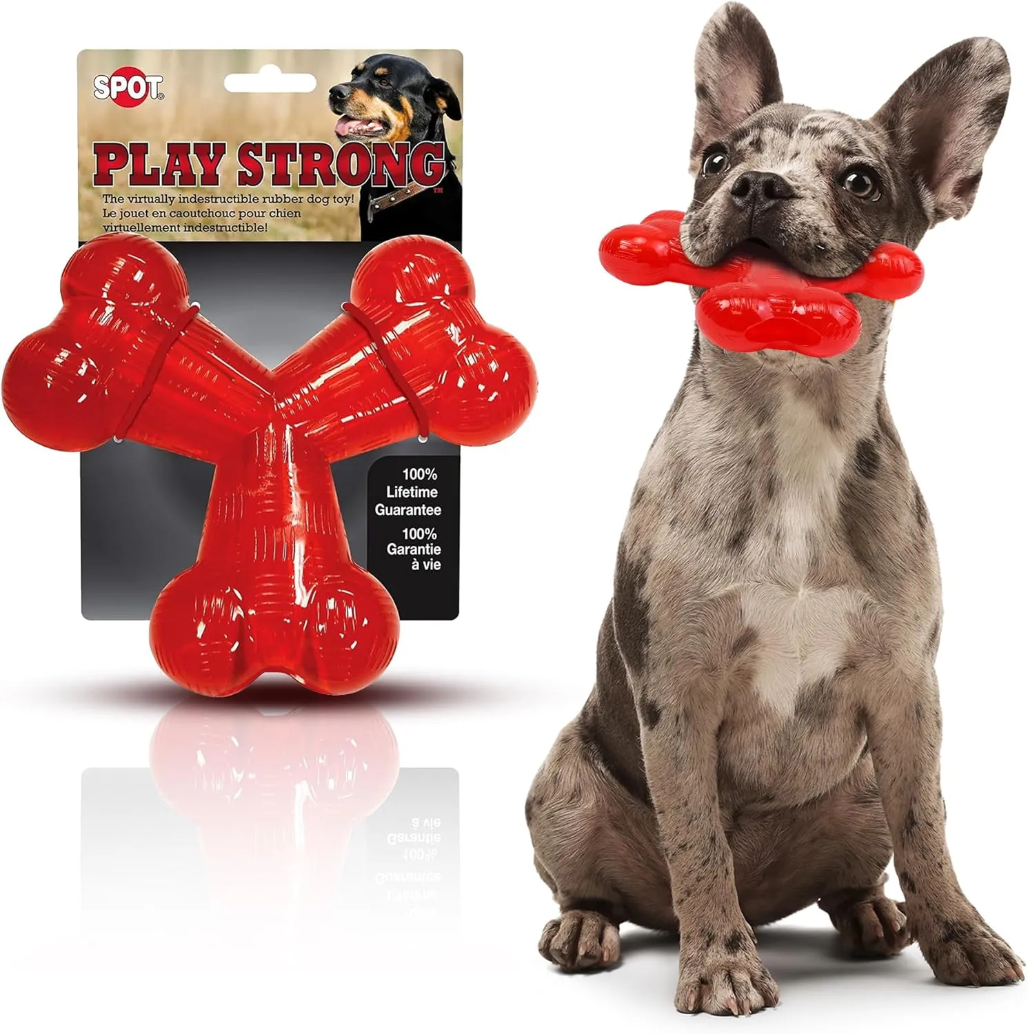 SPOT Play Strong Trident Bone - Durable TPR Long Lasting Dog Chew for Aggressive Chewers, Hole for Treats, Virtually Indestructible Toy for Large Dogs & Puppies up to 90lbs - 6 inch