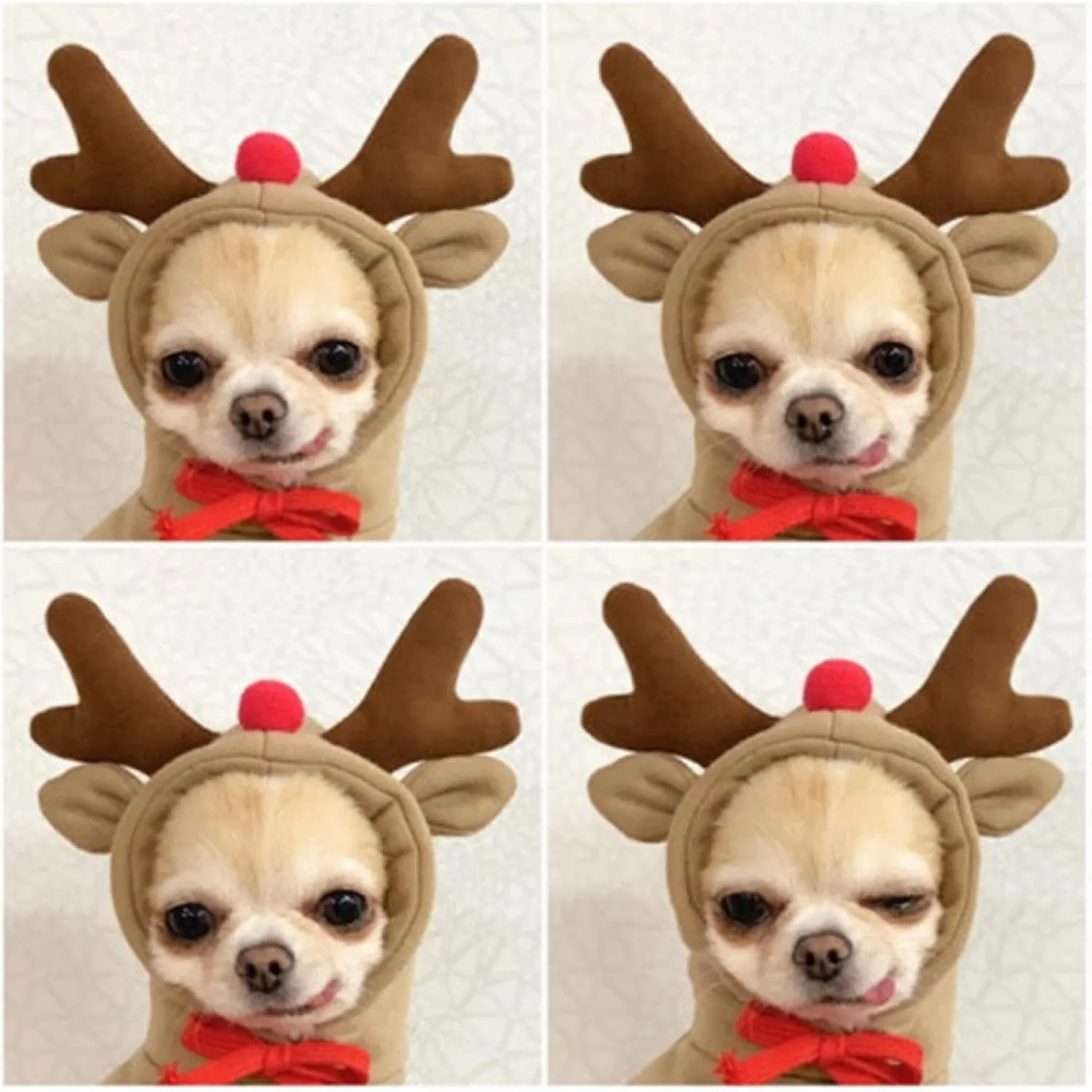 Warm Dog Winter Clothes Cute Fruit Dog Coat Hoodies Fleece Pet Dogs Costume Jacket for French Bulldog Chihuahua Ropa para Perro(Coffee,XXL)